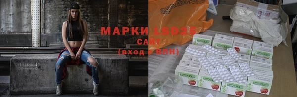 ГАЛЛЮЦИНОГЕННЫЕ ГРИБЫ Новозыбков