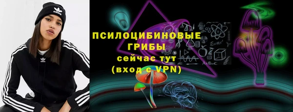 ешки Нея