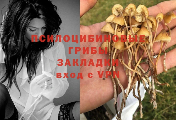 герыч Нефтекумск