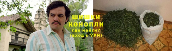 ешки Нея