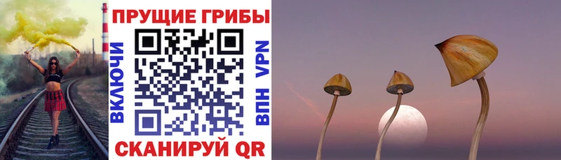 Галлюциногенные грибы MAGIC MUSHROOMS  купить наркоту  Любим 